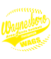 Waynesboro Area Girls Softball Inc.