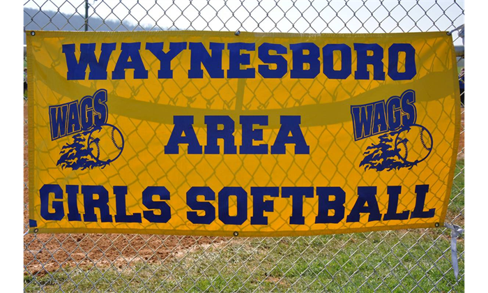 Wags Softball